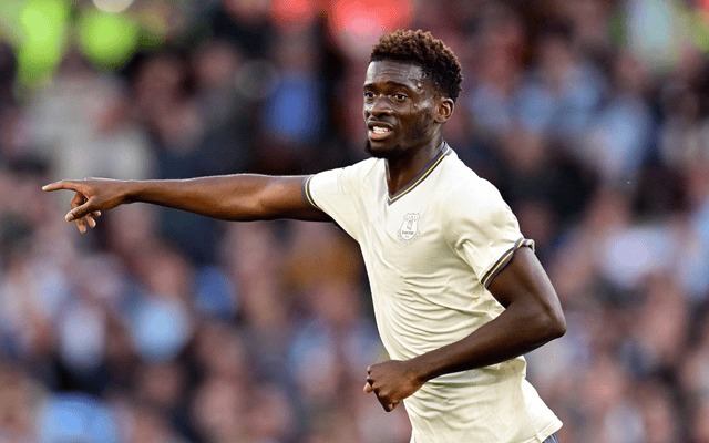 奇异果官网-关于埃弗顿主场击败南安普顿，提升保级机会的信息